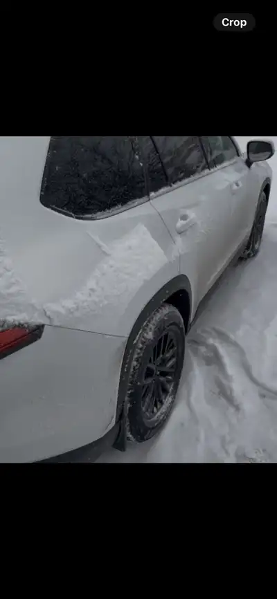 Selling the tires for my 2024 Grand highlander that are on steel rims; currently being stored at Kal...