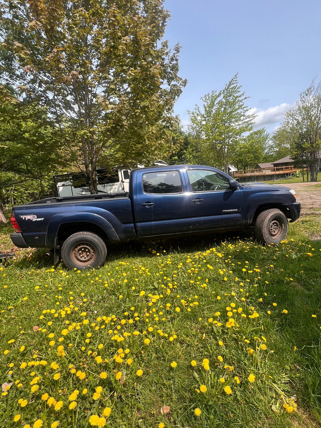 2007 Tacoma in Cars & Trucks in Moncton
