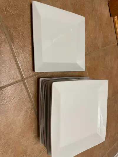 Dinner plates (13 total), View more