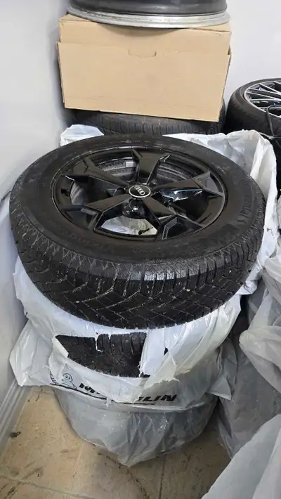OEM 17" Audi Q3 Winter Wheels on 215/65/17 Continental Viking Contact 7 winter tires. Rims and tires...