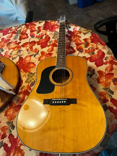 Washburn D10 SLH. Lefthanded guitar. Excellent condition. Premium hard case included. Great for begi...