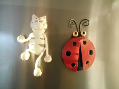 Figurines aimantées: chat, coccinelle, View more