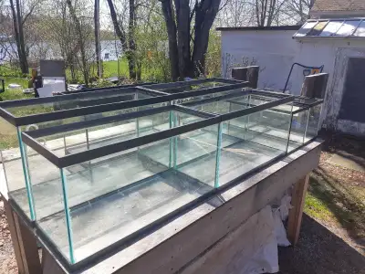 Plusieurs aquariums (sans équipement) à vendre 1$ le gallon. Il y a des 10g. , des 25 g., des 30g. e...