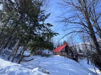 Idées d’été en bordure de lac, View more