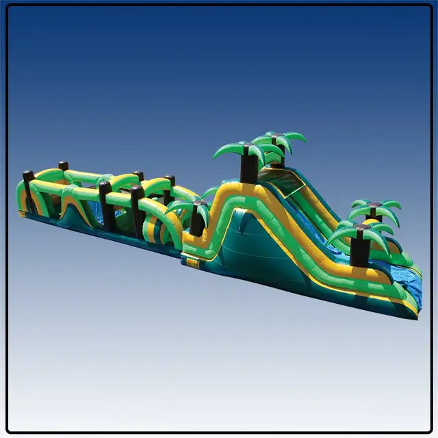 fun fun fun inflatable bouncers all of Manitoba62863231966466122