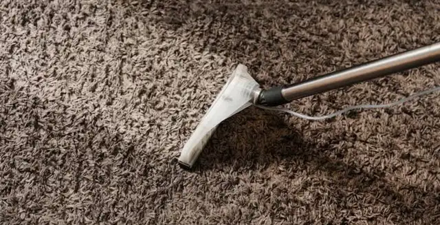 Professional Carpet Cleaning - Ottawa | Affordable | Same-
