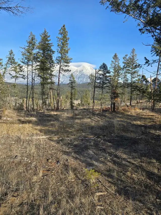 281-Acre Riverfront Property | Mountain Views | Kootenay in Land for Sale in Cranbrook - Image 6