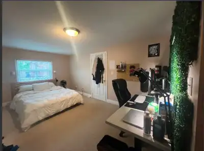 room for rent