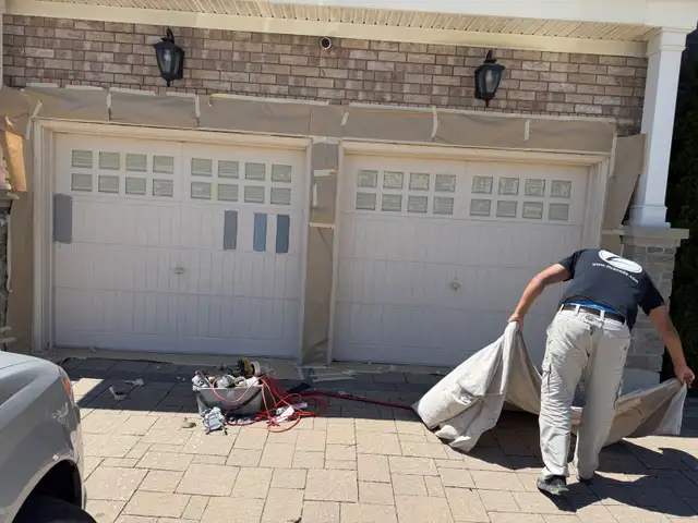 Professional painters482731203809126403