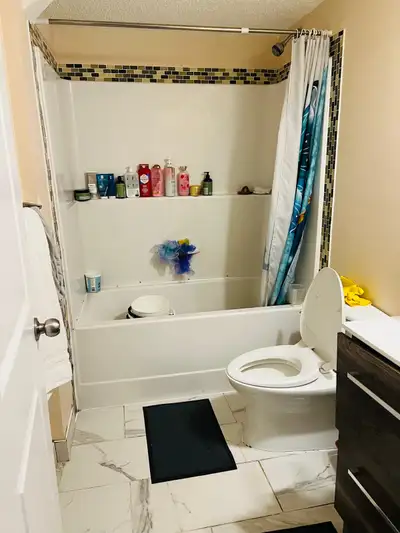 Basement for rent in Taradale NE close to schools and shopping centre bus and all other necessities....