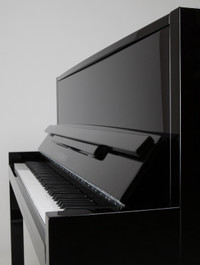 New PIANO "FEURICH" 115