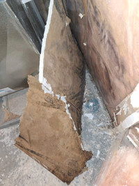 Toronto and area Mold Remediation 705 313-6321 