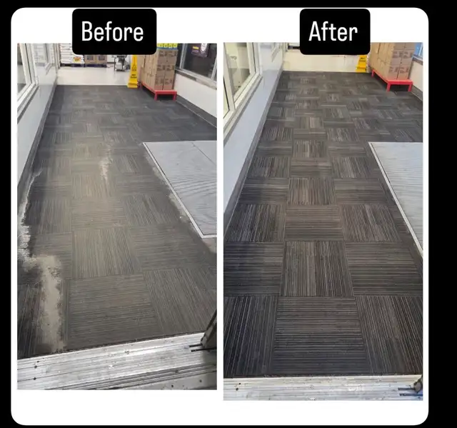 Professional Carpet Cleaning Services