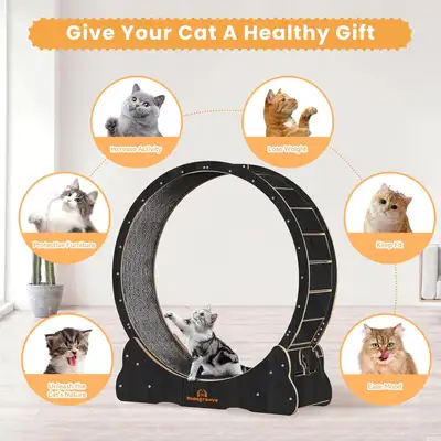 - new in box: Homegroove Cat Running Wheel, 39.3" Large Cat Exercise Wheel Treadmill with Carpeted R...