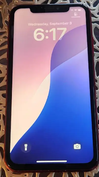 In great condition and unlocked, good battery health, firm, delivery for a fee