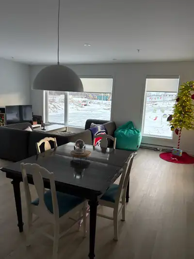 CESSION DE BAIL DISPONIBLE DES LE 1 MARS (ou autre, à discuter) JUSQU'AU 30 JUIN 2026 Chien (petit)...