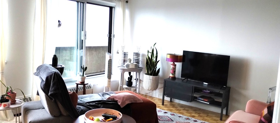 Grand 3 1/2 lumineux Outremont - novembre 2