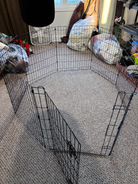 Dog play pen