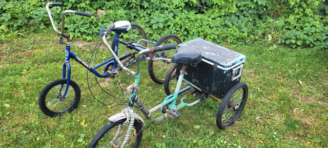 Two Adult Tricycles in Other in St. Catharines - Image 3