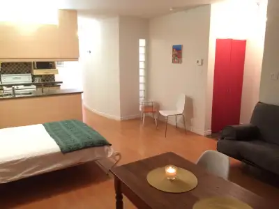 *** ENGLISH see below*** Magnifique studio meublé, 2e étage, à concept ouvert et bénéficiant d'une t...