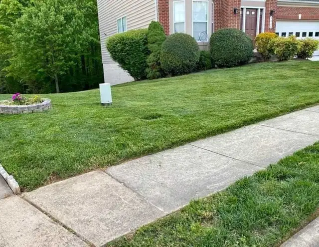 Grass Mowing408442201063434241