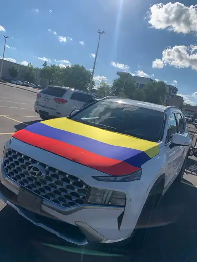 car hood flags, View more