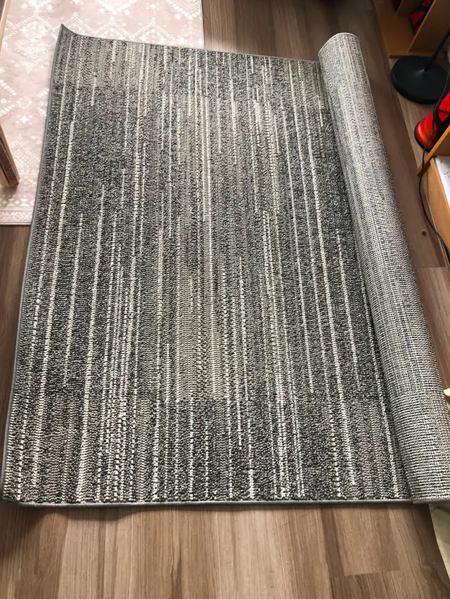 Grey/Multi Area Rug in Rugs, Carpets & Runners in Ottawa - Image 2