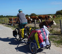 Double chariot bike trailer 