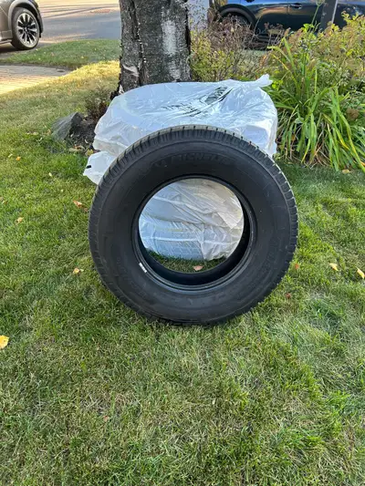 4 Pneus Michelin Agilis Cross Climate - LT225/75R16 Pneus en très bonne condition Usure : 2 pneus -...