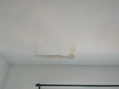 4168381391 text or call ——-Big or small All drywall related work —— mold removal Painting Mudding &...