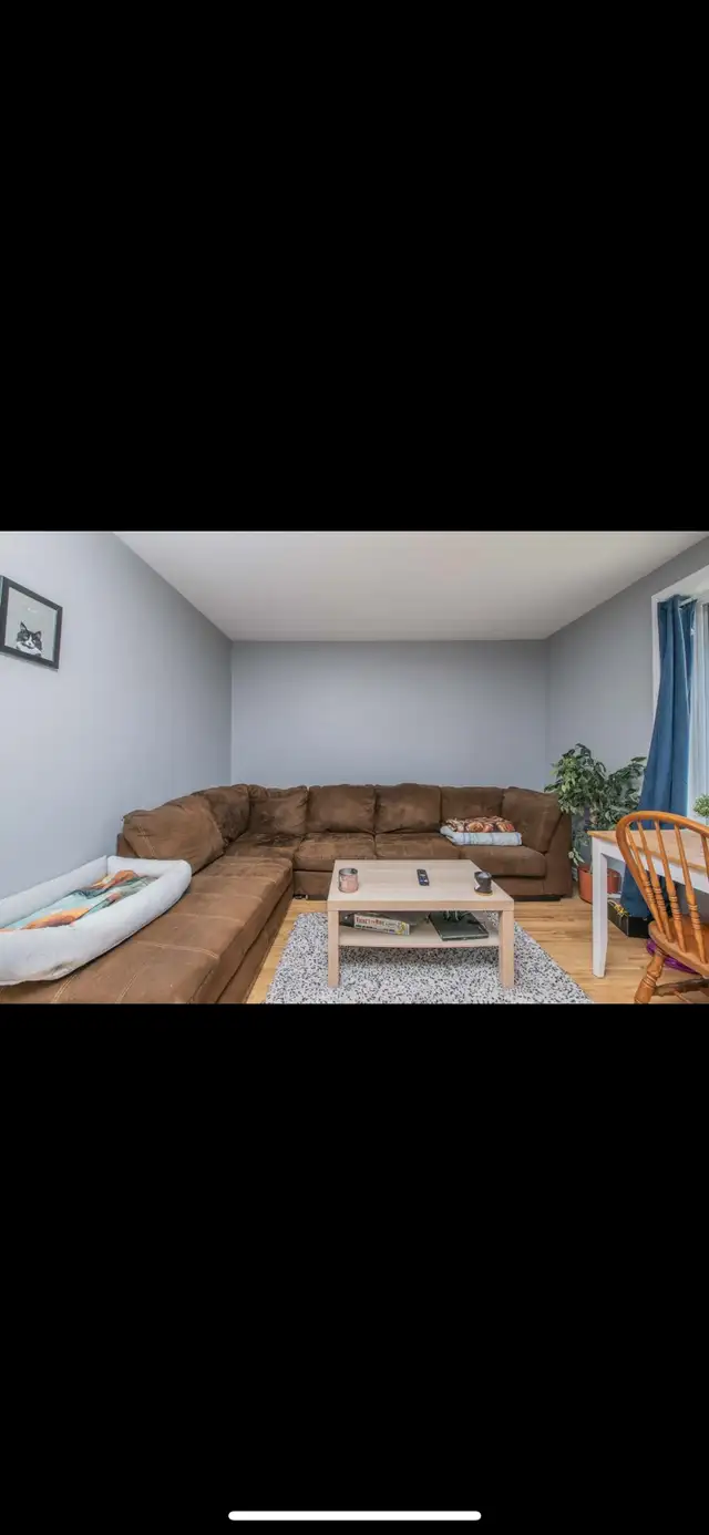 1 bedroom apartment for rent in Long Term Rentals in Ottawa - Image 10