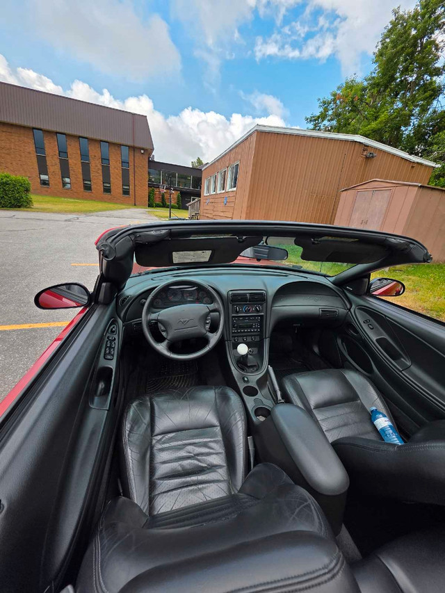 2002 Mustang GT Convertible  in Cars & Trucks in Kawartha Lakes - Image 4
