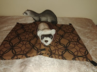 Quality Ferret Bedding and more