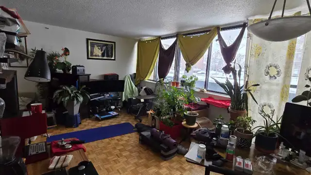3 1/2 à louer Iles-des-Soeurs pour Juin ou Juillet in Long Term Rentals in City of Montréal - Image 3