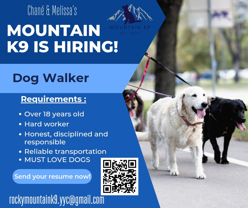 Looking for a dog walker! Animal & Pet Services Calgary Kijiji