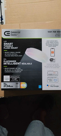 Smart Flush mount smart light 