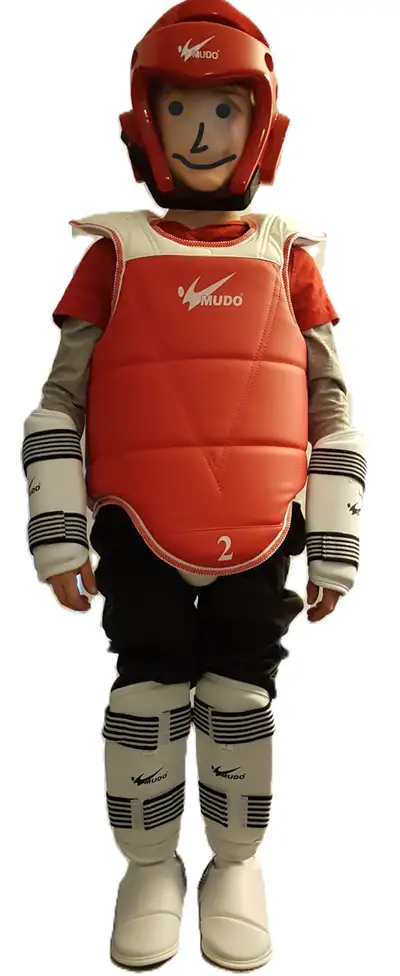 Taekwondo Sparring and Training Gear, View more