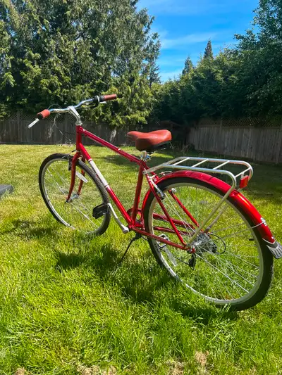 Raleigh Century Cruiser Bike, View more