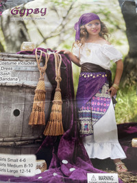 Gypsy Costume ( size 8-10)