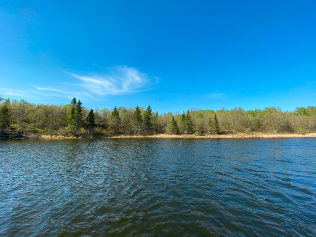 Lot 15 Big Narrows - 2.47 Acres, 343 feet of Frontage! in Land for Sale in Kenora - Image 3