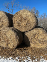 Alfalfa bales