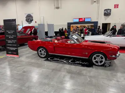 1966 Ford Mustang Convertible factory C Code but now 347 Stroker paired to a 5speed manual and 4 whe...