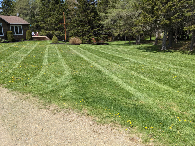 Annapolis Valley Lawn Care Provider in Lawn, Tree Maintenance & Eavestrough in Annapolis Valley - Image 3