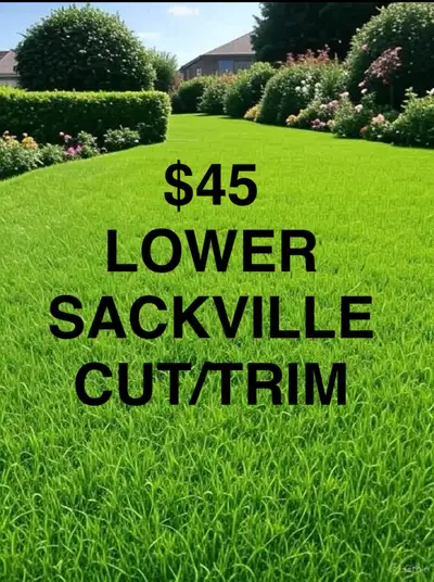 $45 Lawn CIT/TRIM Lower Sackville, View more