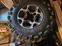 Can Am rims and tires