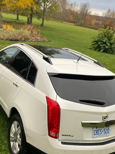 2010 SRX Cadillac593713726772357127