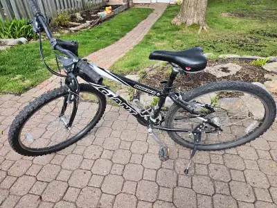 Giant 14inch frame boulder, View more