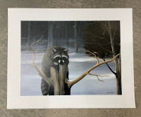 Art print/poster•NO frame•RACOON•David James• 20”x16”• NEW