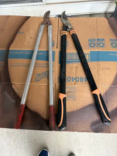 Loopers branch cutters price for both. One axe needs sharpening