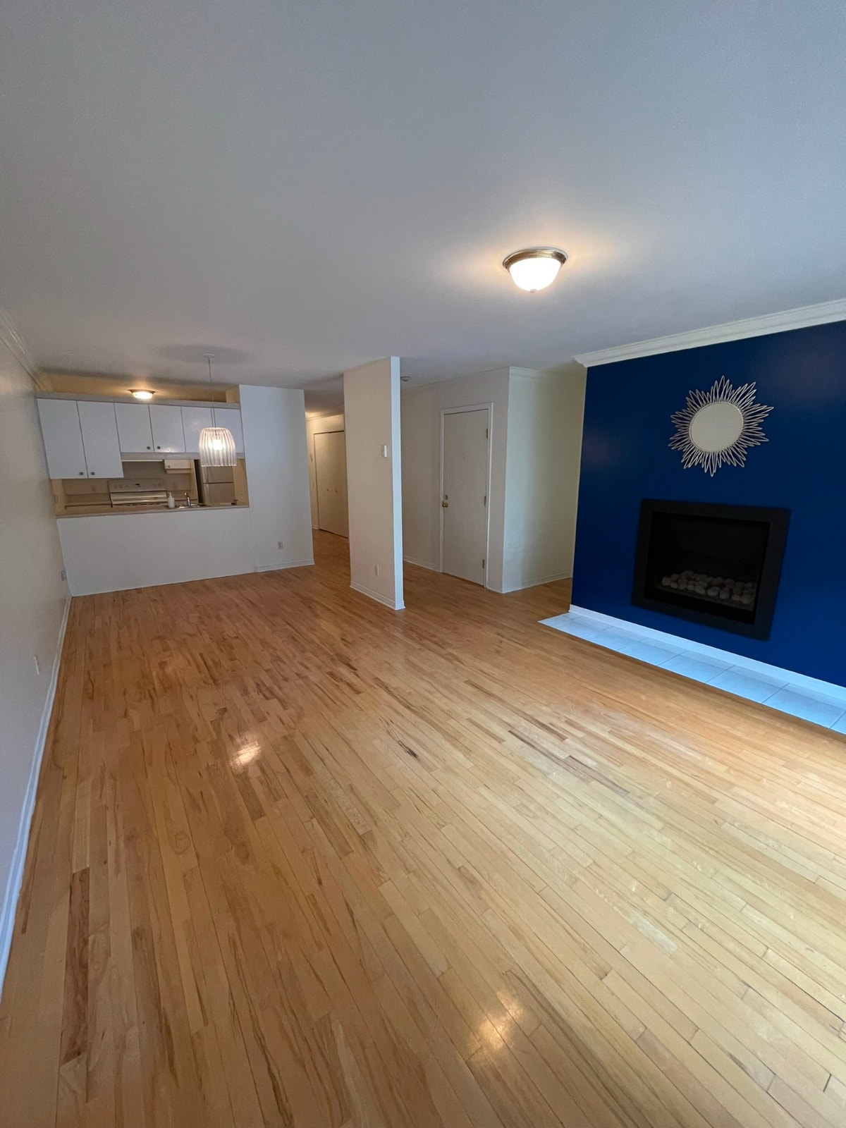 Grand 4½ (900 pi²) – Plateau Mt-Royal – Métro Laurier – Terrasse — photo 3